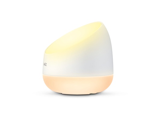 [929002690312] Lampara Wiz Luminaria Portable Squire Type-C